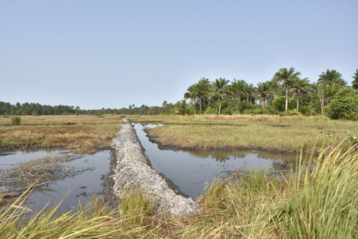 A Sierra Leona