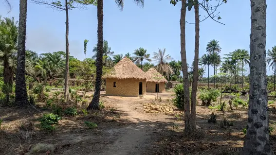 Cabañas tras los árboles