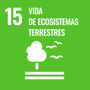 ODS 15: vida de ecosistemas terrestres