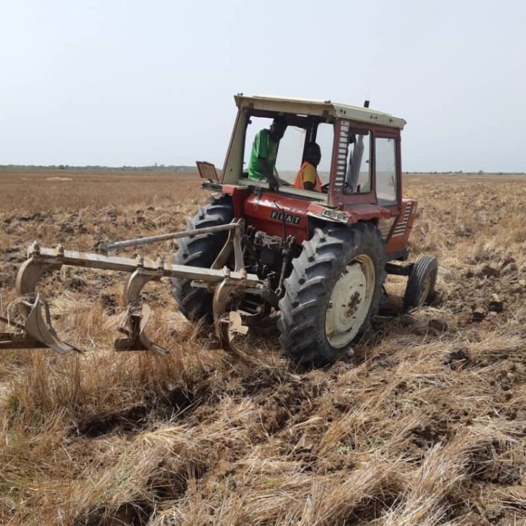 Tractor arando