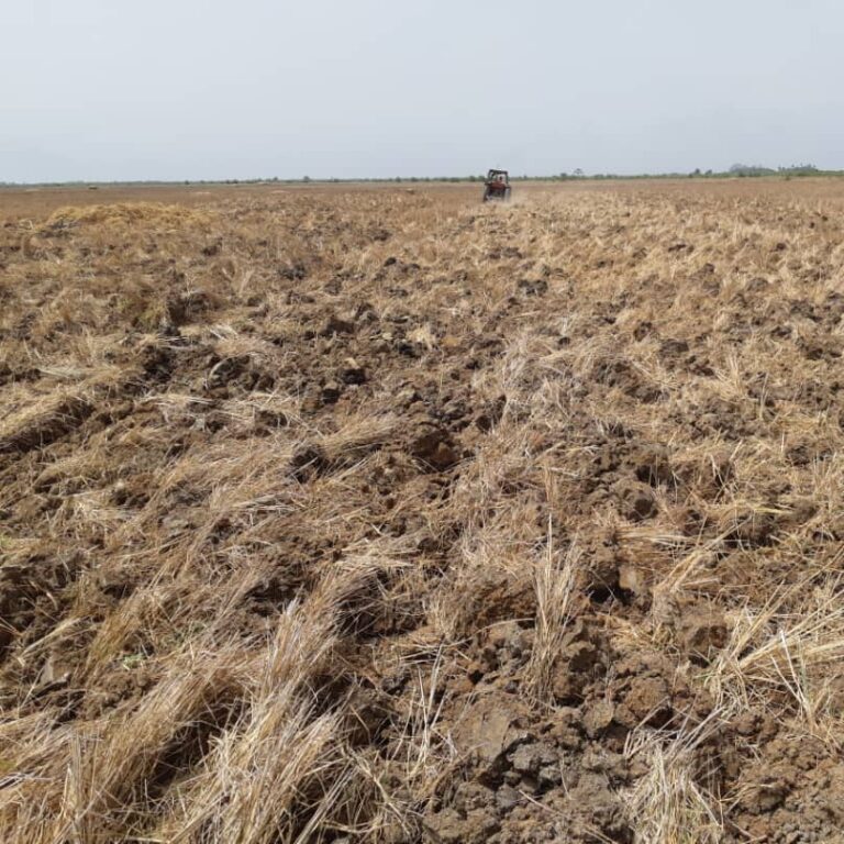 Campos siendo trabajados por el tractor